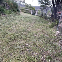 Foto de Ana Maria N., Planchado a domicilio baratos en Azuqueca de Henares