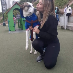 Foto de Sayri Mariafernanda B., Peluqueros de animales baratos en Medina de las Torres